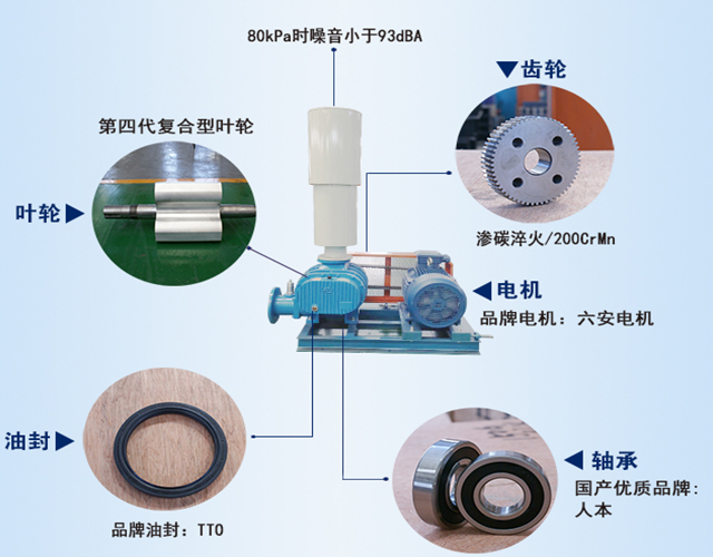 羅茨鼓風機結(jié)構(gòu)圖